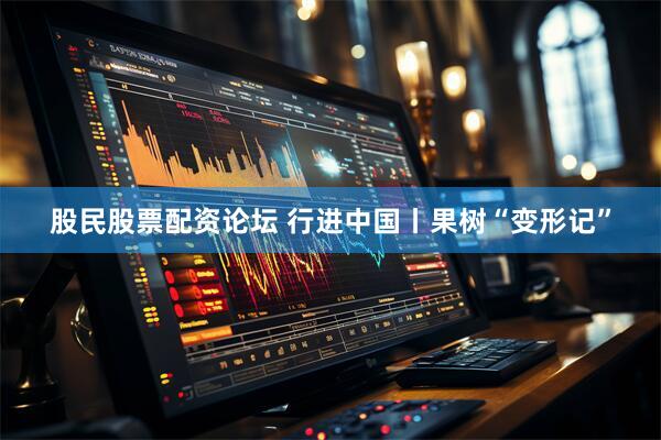 股民股票配资论坛 行进中国丨果树“变形记”
