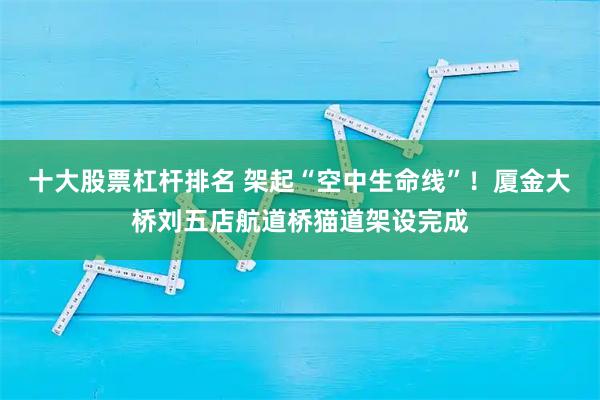 十大股票杠杆排名 架起“空中生命线”！厦金大桥刘五店航道桥猫道架设完成